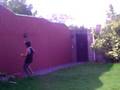 videos de rugby en casa