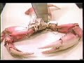 The Claw