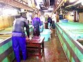 Slaughtering of Fish at Tsukiji Market