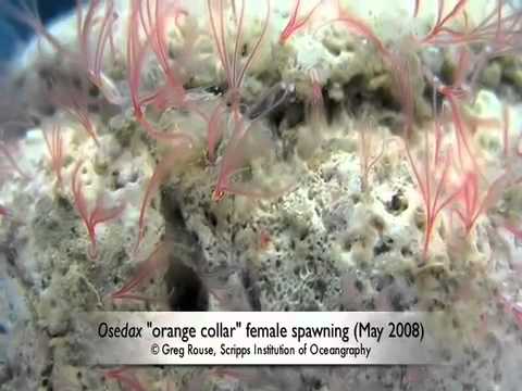 how to discover evidence