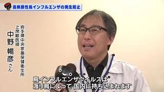 【第34回】高病原性鳥インフルエンザの発生防止～我が家の鳥と岩手の養鶏産業を守ろう！～