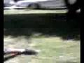 mexican get beatup good!