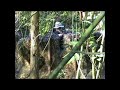TUIG team airsoft skirm compilation TUIG team airsoft skirm compilation