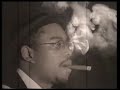 Perroquet Pression (clip) Perroquet Pression (clip)