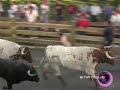 Encierros 2006