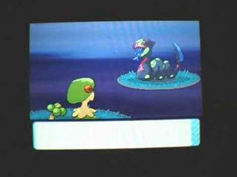 seviper