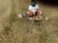 videos de dom