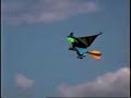 wtf?  A Flying Witch?