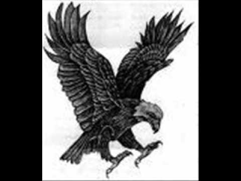 eagle