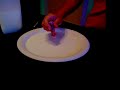 6th Grade Science Project