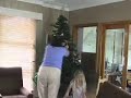 Decorating Christmas Tree Decorating Christmas Tree