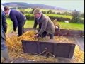 Ransomes Threshing Mill at work in Carlow