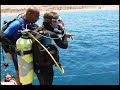 Diving in Aqaba Jordan
