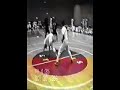 campeonato brasileiro de capoeira 1988