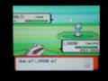 Shiny Ralts At Chain 40