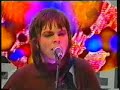 Supergrass-Mansize rooster
