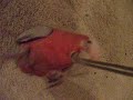 See Video
