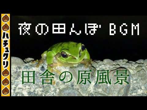 動画