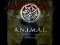 Video screenshot
