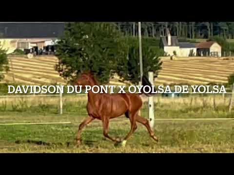 Image de prévisualisation YouTube