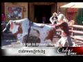 Hollywood Confidential with Sabrina A. Parisi on NTV -February 20, 2010