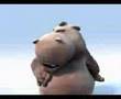 hippo barese