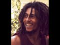 Bob Marley Zion Train Deeside Leisure Center Engla