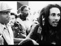 videos de Bob Marley Zion Train Deeside Leisure Center England 1980