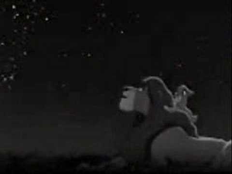 SAD LION