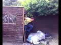 Jumping Through A Shed