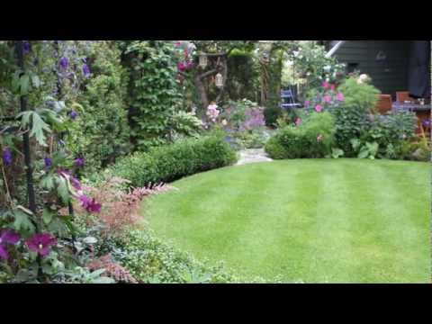 how to care lawn