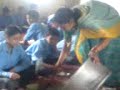 MidDayMealStartingAtKNUG.I.C.PITHORAGARH