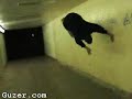 Parkour and Free run Parkour and Free run