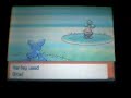 Special Episode: Version Exclusive Pokemon: Pearl #1: Bonsly Special Episode: Version Exclusive Pokemon: Pearl #1: Bonsly