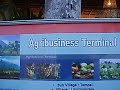 Nusa Dua Fiesta 2008 | Yogyakarta Tourism Board