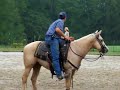 me loping tommy girl at my trainers, she has to be one of the laziest horses ever! i was also working on sitting better.