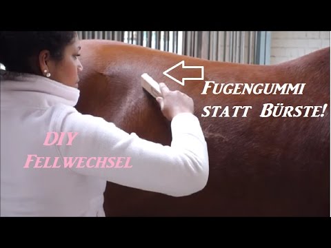 DIY | mit Fugengummi durch den Fellwechsel