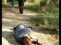 videos de Side Effect le film Partie 6
