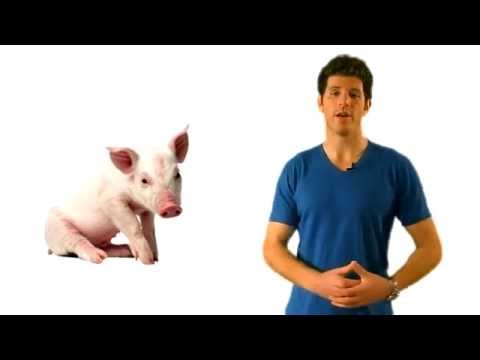 how to become vegetarian