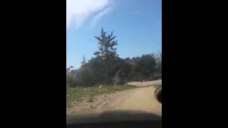 الغابسيه المهجره