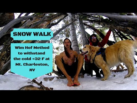Wim Hof Breathing to Withstand the Snow @ Mt. Charleston, NV by Shaun Suller- Gyoga Wim Hof Breathing to Withstand the Snow @ Mt. Charleston, NV by Shaun Suller- Gyoga