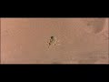 El desierto del Namib