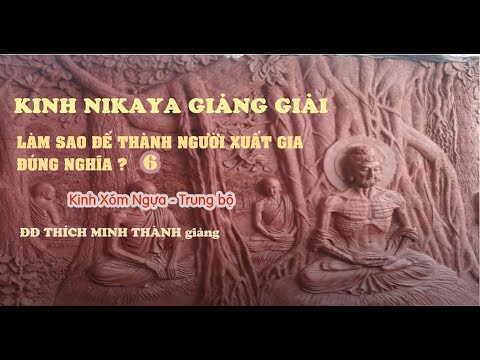 Kinh NIKAYA Giảng Giải - Làm Sao Để Thành Người Xuất Gia Đúng Nghĩa 6 ? 