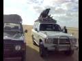 videos de festa nel deserto, egitto