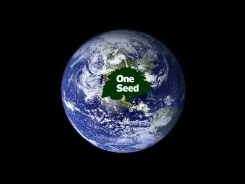 The Seed Project