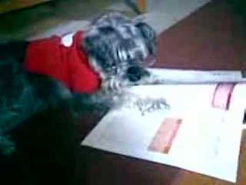 Imagen de previsualización de YouTube