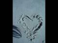Movie_0003.wmv
