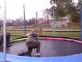 shai fishman noah trampoline 1