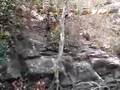 chuao-2008-clavadas-