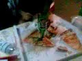 pizza fine estate '07